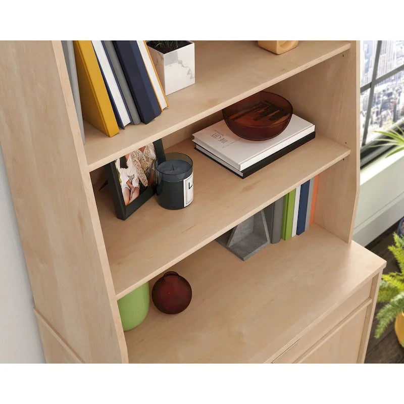 Vitrine bibliothèque avec étagères réglables